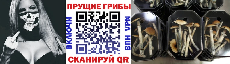Псилоцибиновые грибы ЛСД  Купить где  Макарьев 